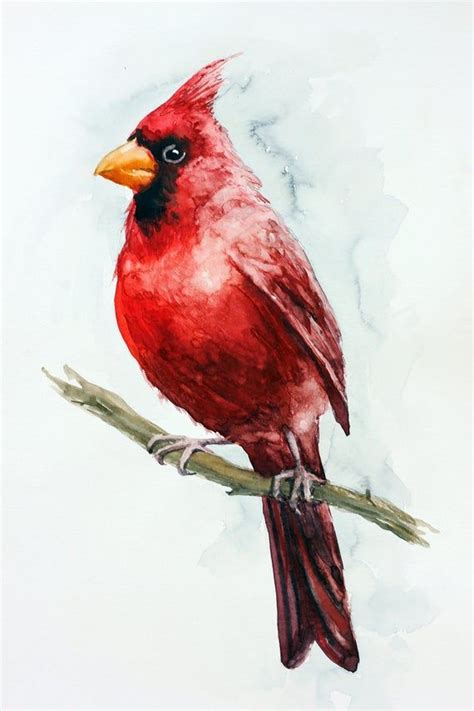 Red Cardinal Bird Watercolor Painting Original By Artist Nikola One Of