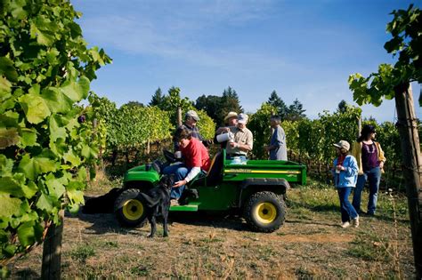 The 18 Wine Regions Of Oregon From Green Valleys To The High Desert