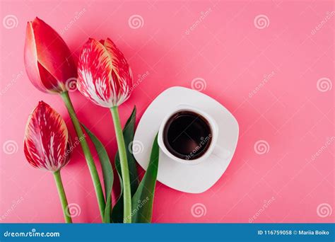 Cup Of Esspresso Coffee And Fresh Tulips On Pink Background Good
