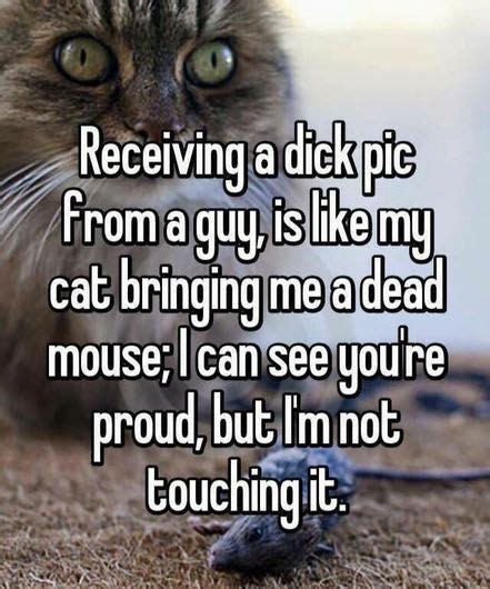 193 Best Sexy Memes And Silly Pins Images On Pinterest Funny Stuff