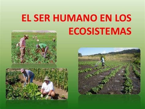 6ºcm05 El Ser Humano En Los Ecosistemas
