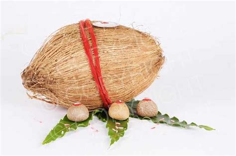 Significance Of Coconut In Indian Culture Explainoexpo