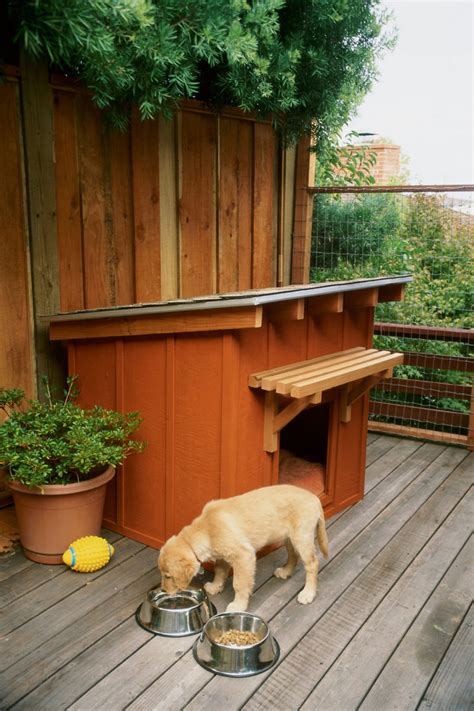 How to Build a Dog House - Sunset Magazine