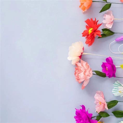 Cute Girly Flower Wallpapers Top Free Cute Girly Flower