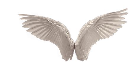 Wings Hd Png Transparent Wings Hdpng Images Pluspng