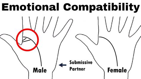 Emotional Compatibility In Palmistry Youtube