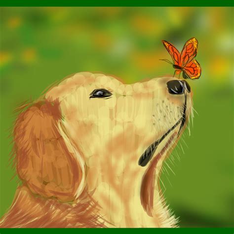 Dog And Butterfly Drawings Sketchport