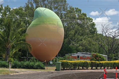 The Big Mango At Bowen By Sthogan Redbubble
