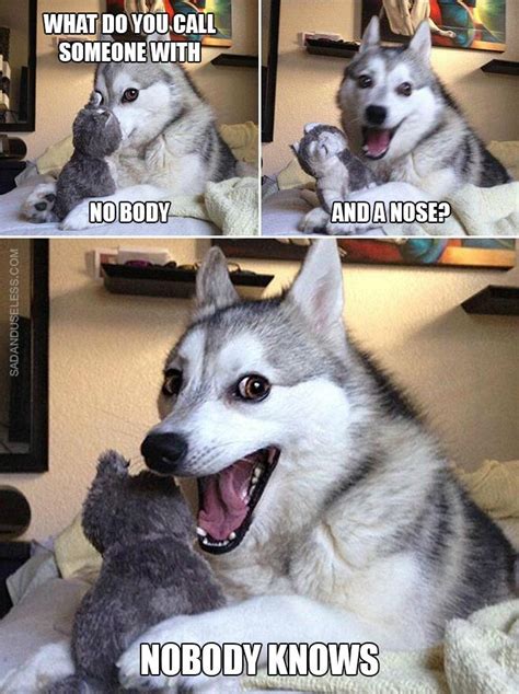 Funny Dog Funny Dog Jokes Funny Animal Jokes Dog Puns
