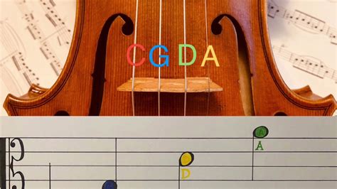 Learn To Read Notes For Viola In Less Than 5 Minutes Youtube