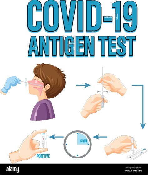 Covid 19 Testing With Antigen Test Kit Illustration Stock Vector Image