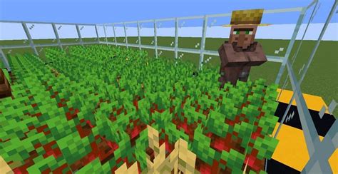 How To Create An Automatic Crop Farm In Minecraft 2021