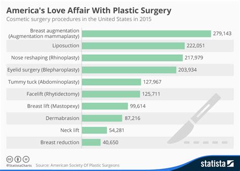 Americans Are Mostly Experienced With Plastic Surgery Infographics