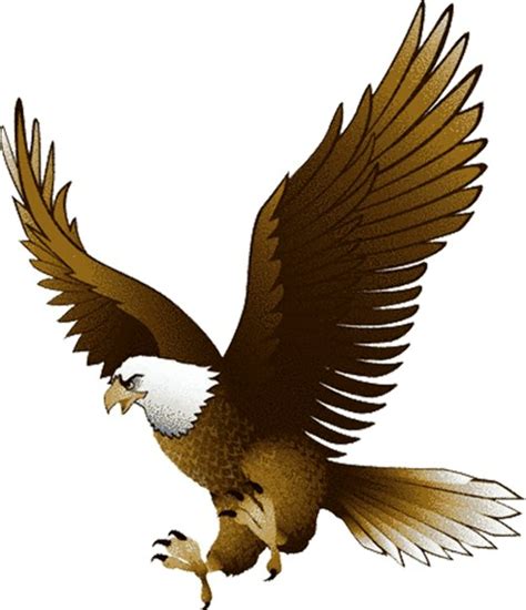 Download High Quality Eagle Clipart Baby Transparent Png Images Art