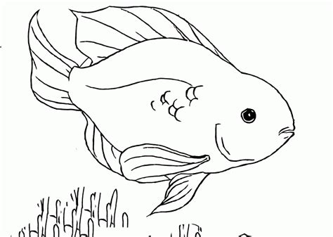 Free Coloring Pages Tropical Fish Download Free Coloring Pages