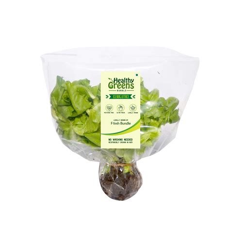 Hydroponic Lettuce Packaging Ubicaciondepersonascdmxgobmx