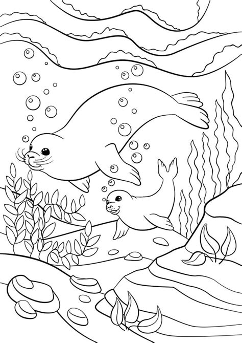 Free Seal Coloring Pages For Download Printable Pdf Verbnow
