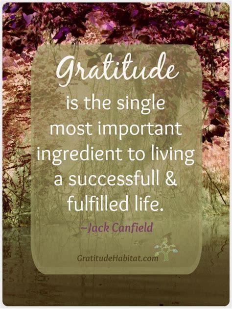 Gratitude Habitat Living In Gratitude The Most Important Ingredient