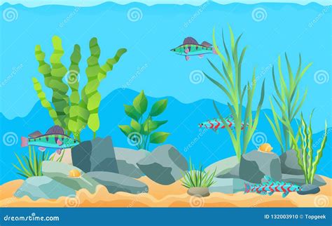 Colorful Cartoon Aquarium Fishes Set Promo Poster Stock Vector
