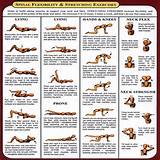 Images of Flexibility Exercises