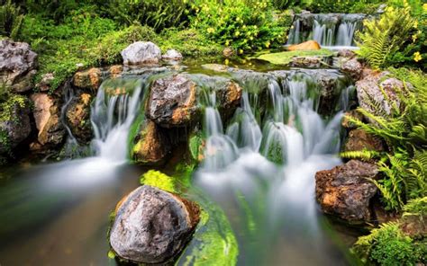 Beautiful Costa Rica Falls River Jungle Lush Green Vegetation Fern