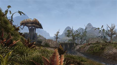 El Mod Morrowind Rebirth Se Estrena En Pc Mediavida