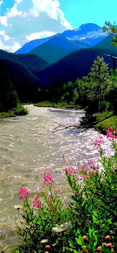 Rocky Mountain Stream Coloradoflowers Garden Love On The Open Road