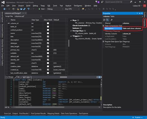 How To Document Sql Server Database Using Visual Studio Dataedo Blog
