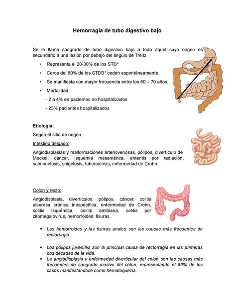 Hemorragia De Tubo Digestivo Bajo Intestino Delgado Angiodisplasias Y Malformaciones Studocu