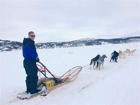 Dog Sledding In Norway Husky Dogs In The Norwegian Arctic Circle