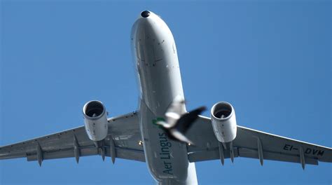 P1000826edited 1 Flightfest Dublin 15 Sep 2013 Whidom88 Flickr