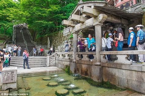 Chinese Tourist Horrifies Visitors At Sacred Japanese Temple After Jumping Into Pond Daily