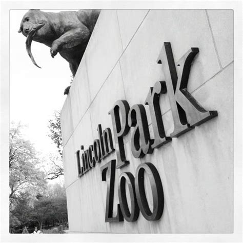 Lincoln Park Zoo Lincoln Park Zoo Lincoln Park Chicago Travel