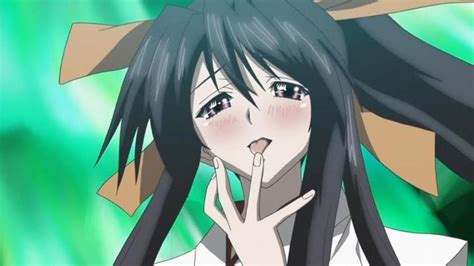 Akeno Himejima Character Wiki Fandom