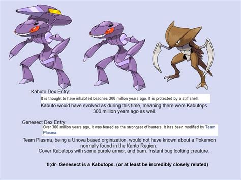 Fluff Relationship Between Genesect And Kabutops Pokemon