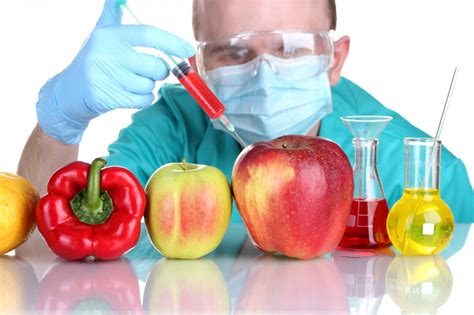 Genetically modified organisms have had specific changes introduced into their dna by genetic engineering techniques. Top 5 lesser known Myths about Genetically modified food