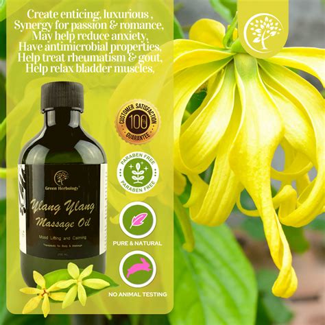 Plain Massage Oil Scent Free Non Greasy Green Herbology