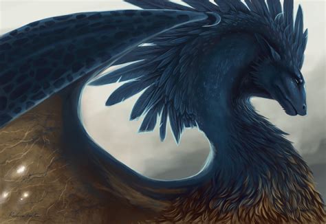 561578 Fantasy Art Wings Blue Feathers Creature Rare Gallery Hd
