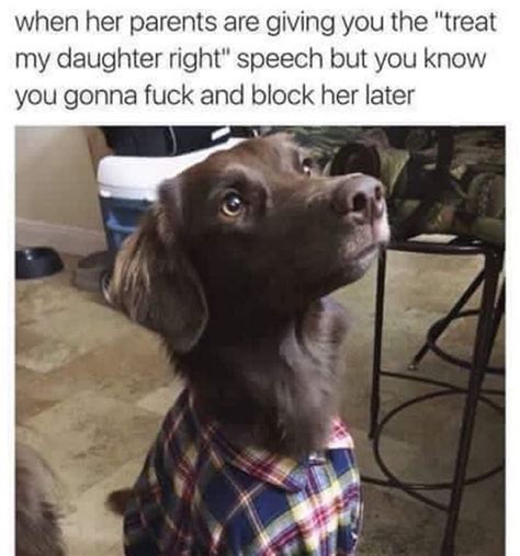 101 Best Funny Dog Memes To Make You Laugh All Day