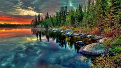 Beautiful Scenery Nature View Trees Forest Reflection On