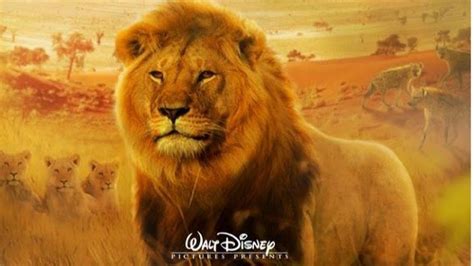 Somewhat more surprisingly, it made a whopping $185 million, which put the disney flick's global take at over half a billion dollars. "Lion King" Has Lower Than Expected Box Office Weekend ...