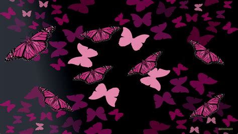 pink butterflies wallpaper 69 images