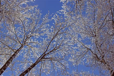 Hd Wallpaper Sky Snow Aesthetic Winter Magic Snow Magic White