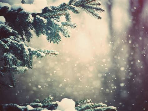 Snowfall 4k Wallpapers For Your Desktop Or Mobile Screen Free And Easy