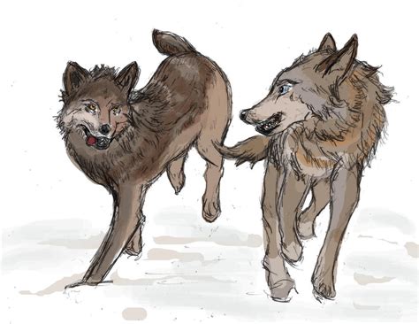 Commission Two Wolves By Thelivingshadow On Deviantart