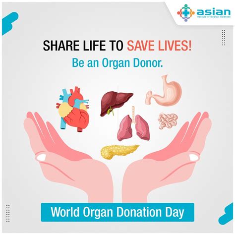 Organ Donation Poster Organ Donation Quotes Zebra Art Organ Donor Medical Science Save Life