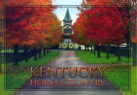 Kentucky Horse Country Kentucky Has More Thoroughbred Hors Flickr