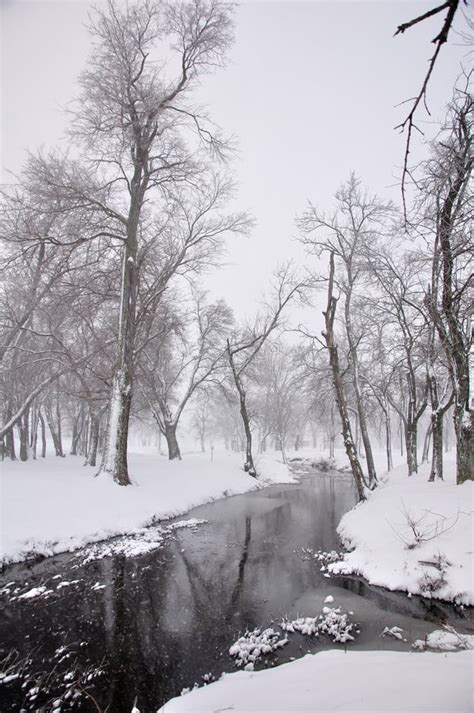 Snowy Stream 2 Stock Image Image Of Morning Misty Seasonal 12768395