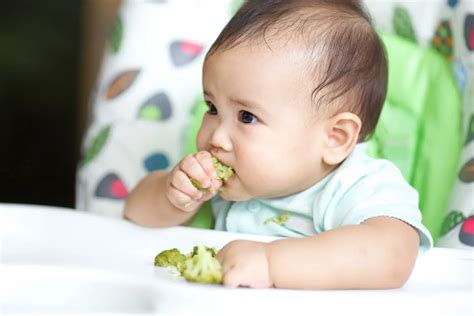 Baby Led Weaning The Next Milestone For Your Baby