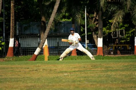 Cricket Batsman Player Batting Sports Ball Game Game Cricketer